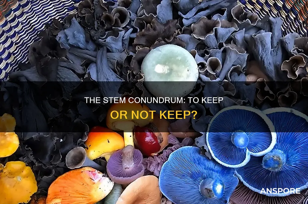 do you keep the stems on mushrooms