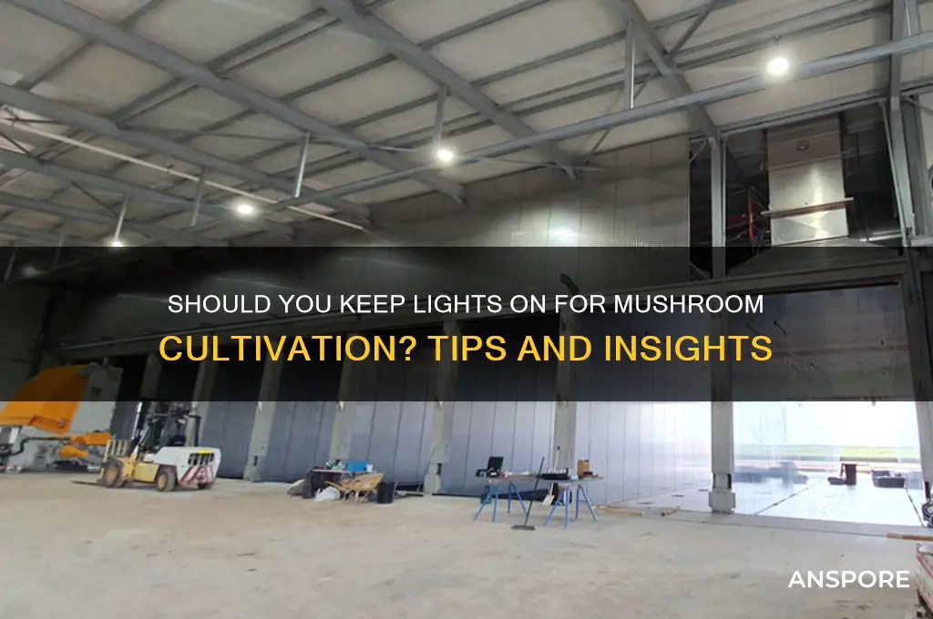 do you leave light on for mushroom grow