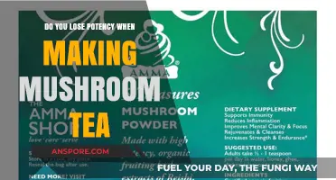 Making Mushroom Tea: Does It Affect Potency?
