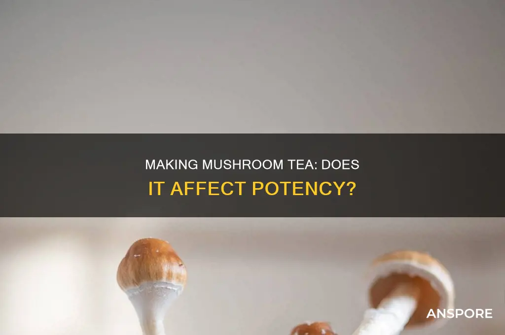 do you lose potency when making mushroom tea