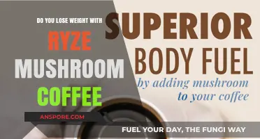 Ryze Mushroom Coffee: Weight Loss Wonder?