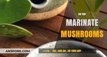 The Ultimate Guide to Marinating Mushrooms