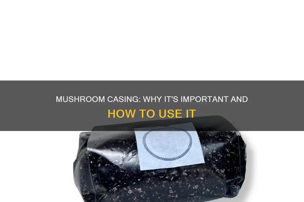 do you need a casing layer for mushrooms