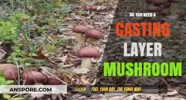 Why You Need a Casting Layer for Mushrooms