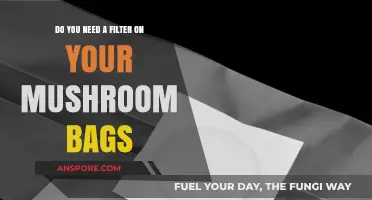 Mushroom Bags: Filter or No Filter?