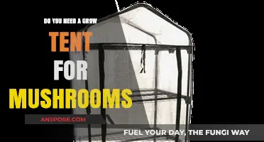 Do You Need a Grow Tent for Mushrooms? Pros and Cons