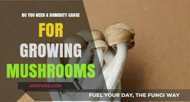 Humidity Gauge: Essential Tool for Successful Mushroom Cultivation?