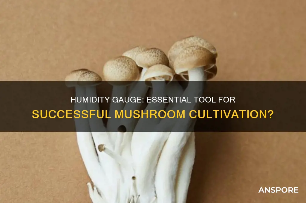 do you need a humidity gauge for growing mushrooms