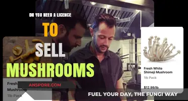 Mushroom Sales: Do You Need a License?