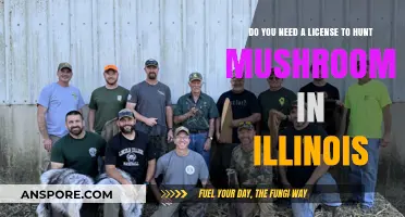 Mushroom Hunting in Illinois: License Requirements Explained