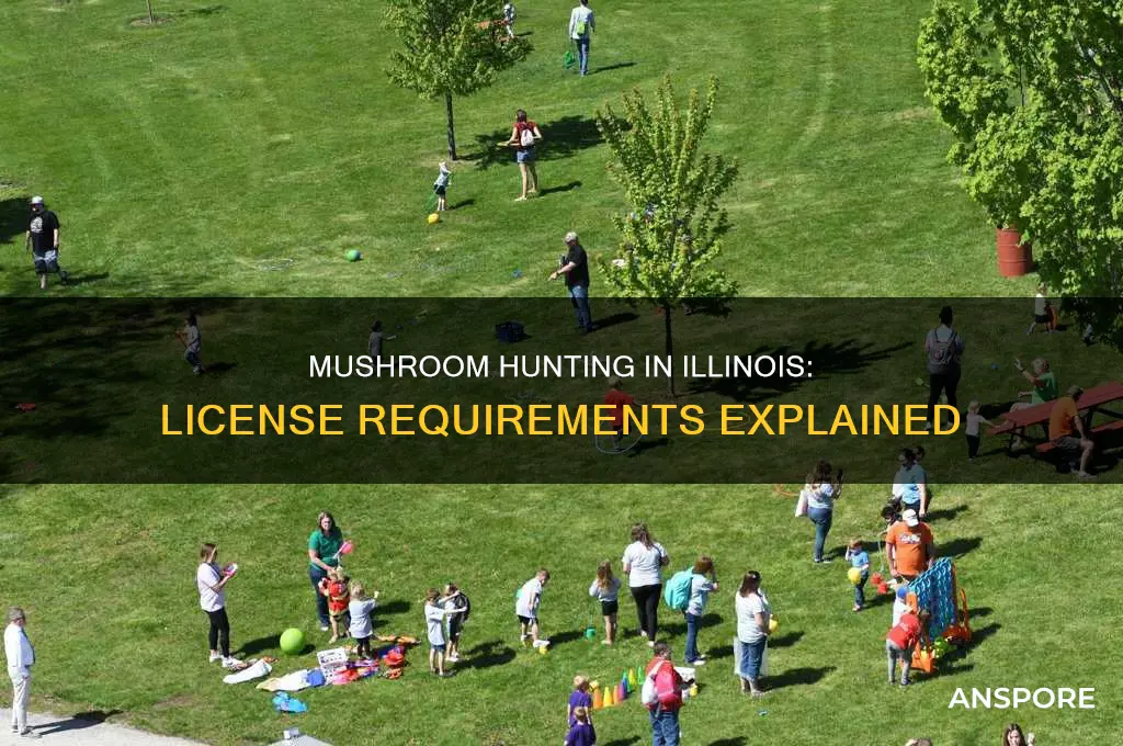 do you need a license to hunt mushrooms in illinois