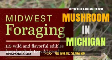 Mushroom Hunting in Michigan: License Requirements Explained