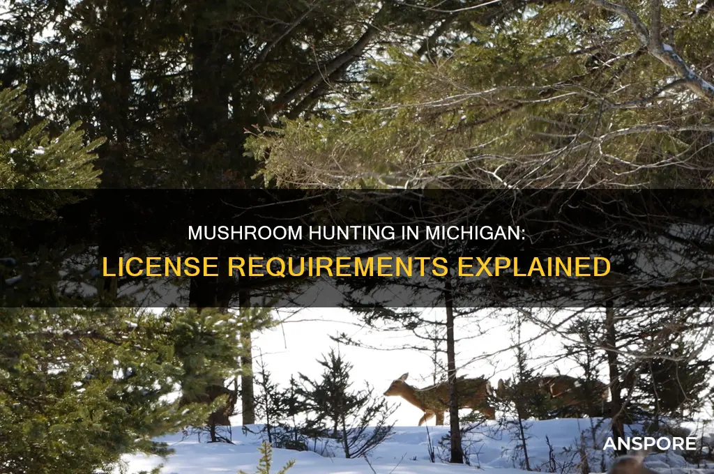 do you need a license to hunt mushrooms in michigan