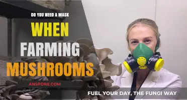 Farming Mushrooms: Do Masks Matter?