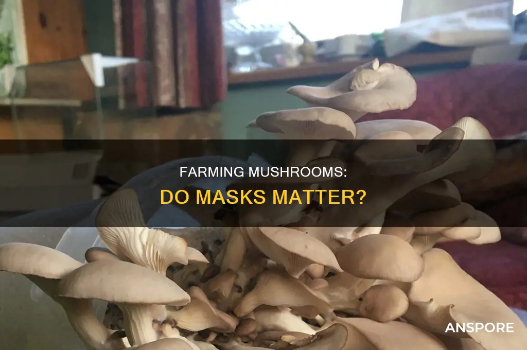 do you need a mask when farming mushrooms