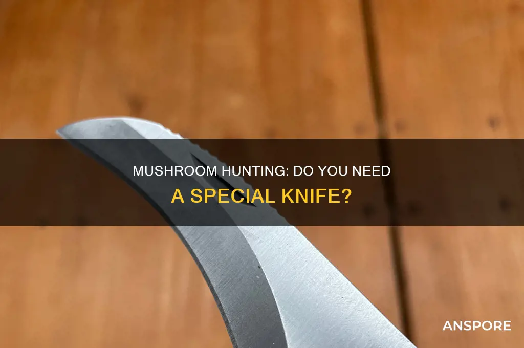do you need a mushroom knife