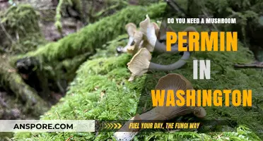 Mushroom Permits: Washington's Foraging Requirements