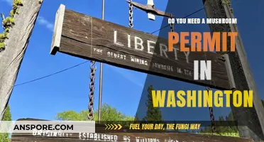 Foraging for Mushrooms? Know Washington's Permit Rules