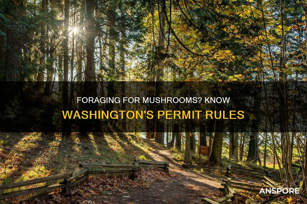 do you need a mushroom permit in washington