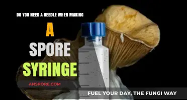 Needle-Free Spore Syringe Creation: A Step-by-Step Guide for Beginners