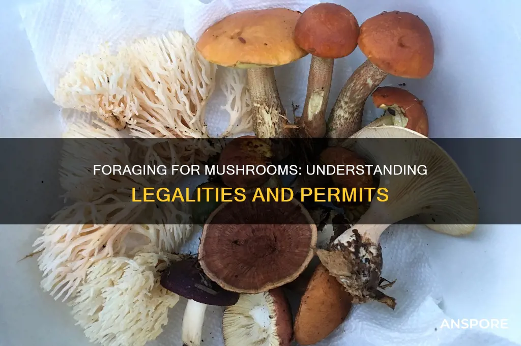 do you need a permit to harvest wild mushrooms