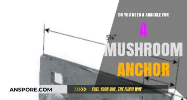 How to Properly Use a Mushroom Anchor