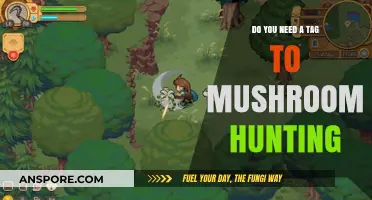 Mushroom Hunting: Tagging Along or Going Solo?