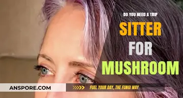 Mushroom Trip Sitters: Are They Necessary?