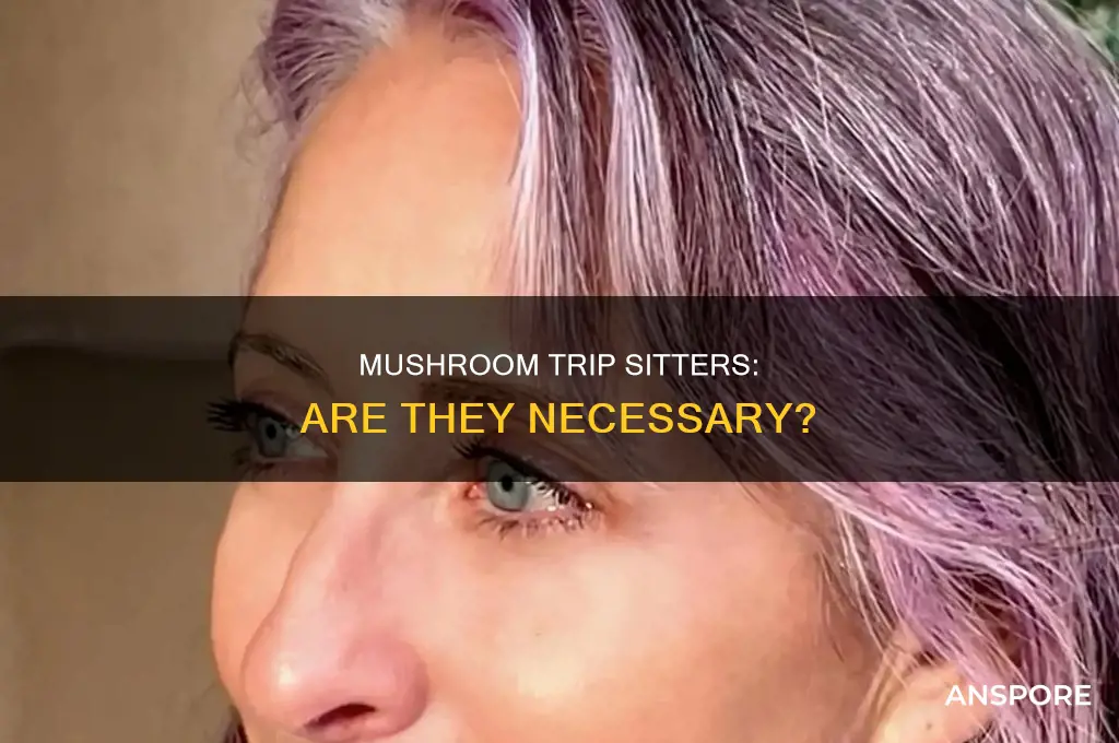 do you need a trip sitter for mushrooms