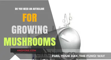Autoclave for Mushroom Cultivation: Essential or Optional Equipment?