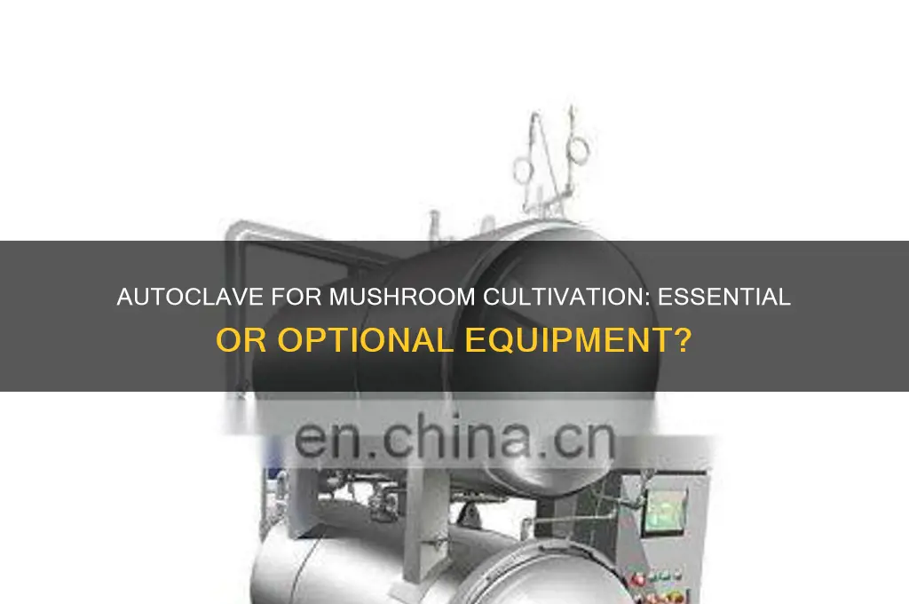 do you need an autoclave for growing mushrooms