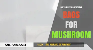 Autoclave Bags: Are They Necessary for Mushroom Sterilization?