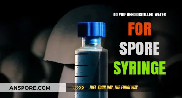 Using Distilled Water for Spore Syringes: Essential or Optional?