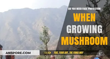 Mushroom Cultivation Safety: Is Face Protection Necessary for Growers?