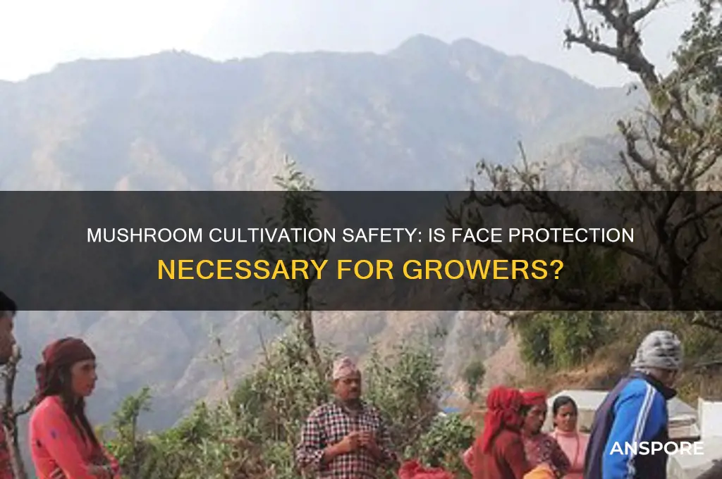 do you need face protection when growing mushrooms