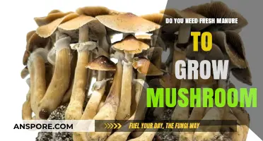 Fresh Manure for Mushroom Growth: Essential or Optional?
