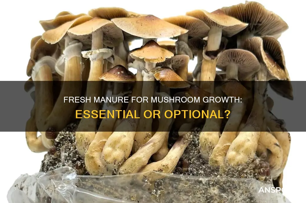 do you need fresh manure to grow mushrooms