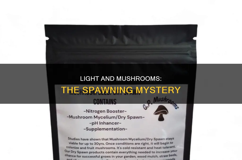 do you need light to spawn mushrooms