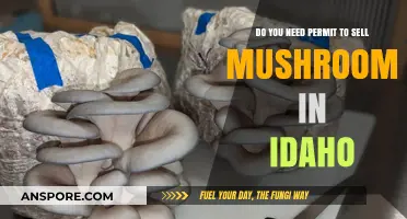 Mushroom Sales in Idaho: Permit Requirements