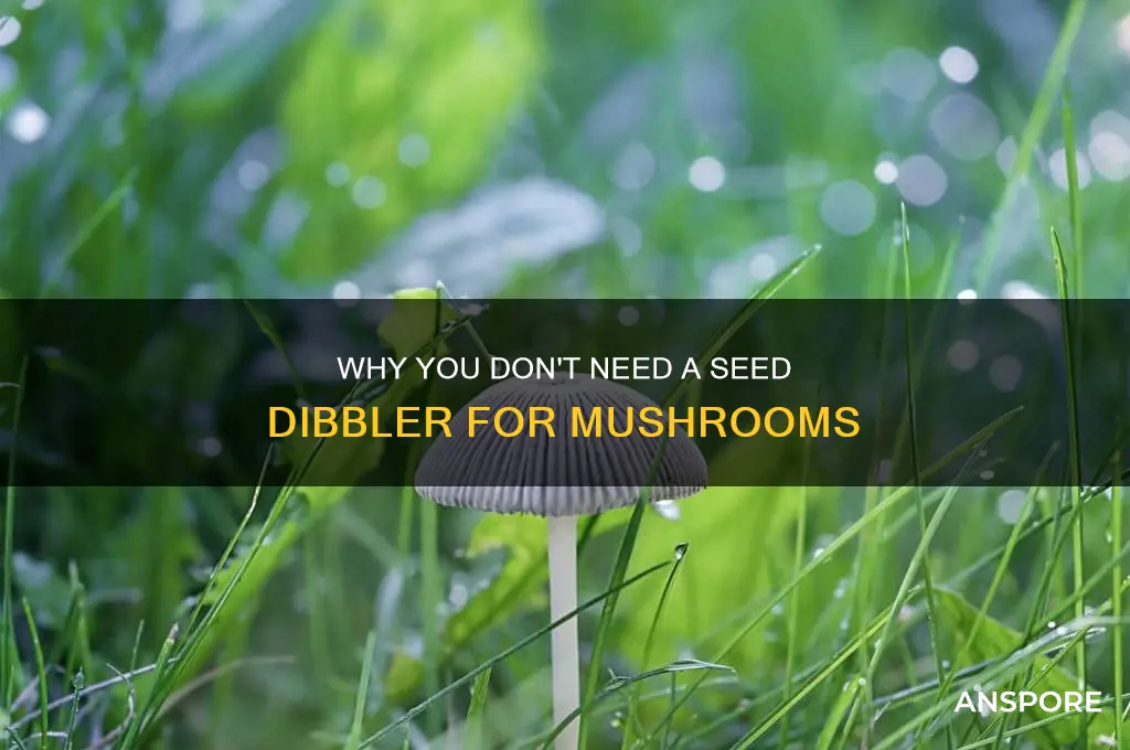 do you need seed dibbler for mushroom spore
