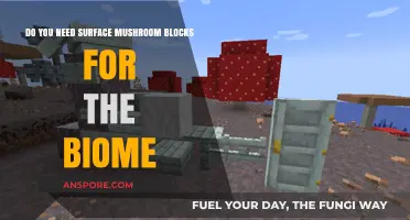 Creating a Mushroom Biome: Surface Blocks and More