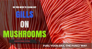 How to Clean Mushroom Gills for Cooking