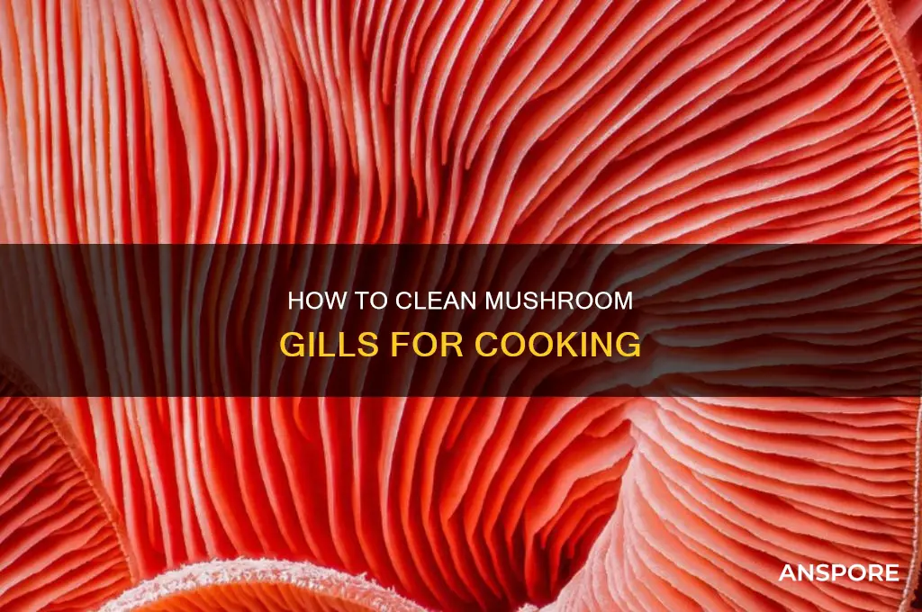 do you need to clean out gills on mushrooms