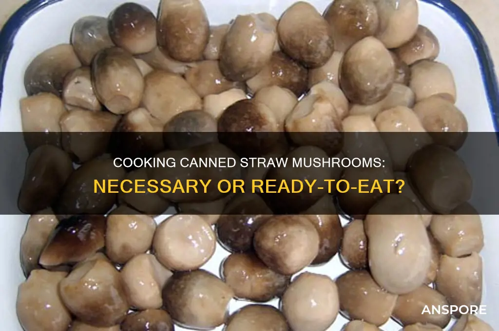 do you need to cook canned straw mushrooms