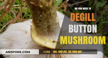 Button Mushrooms: To Degill or Not to Degill?