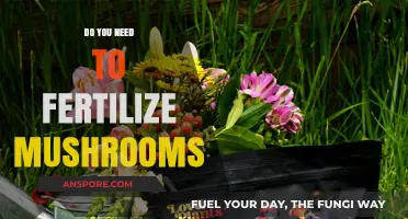 Fertilizing Mushrooms: What's the Deal?