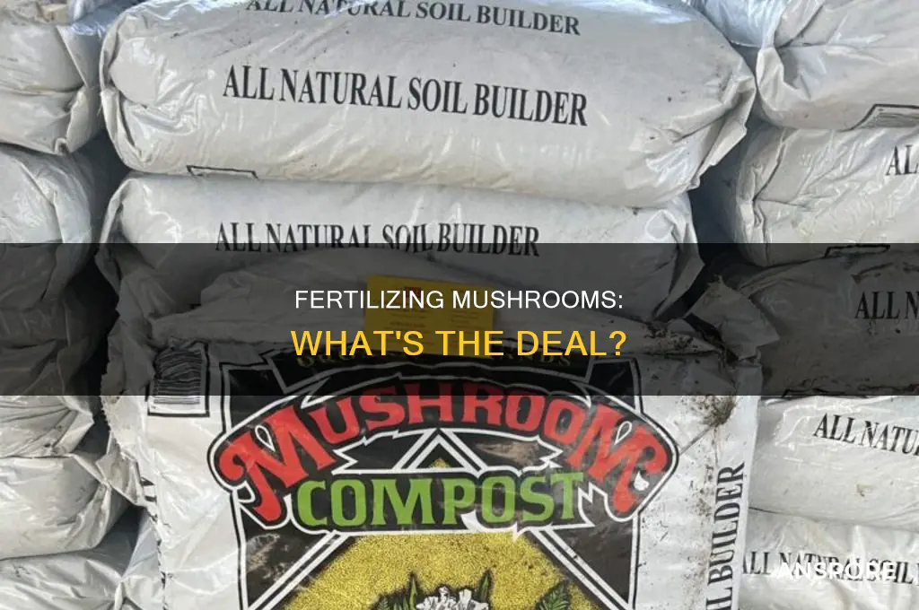 do you need to fertilize mushrooms