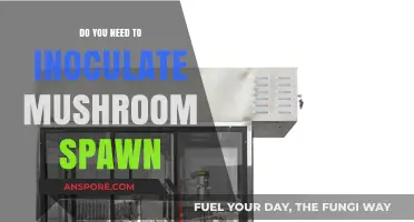 Inoculating Mushroom Spawn: Is It Necessary?