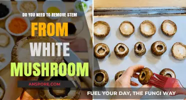 White Mushrooms: Stem Removal Essential?