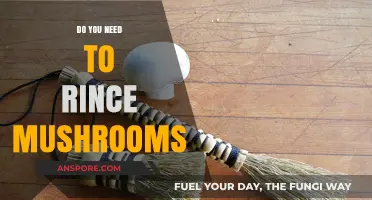 Should You Rinse Mushrooms? The Ultimate Guide